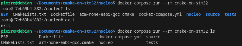 docker compose run